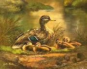 unknow artist Ducks 101 oil painting on canvas